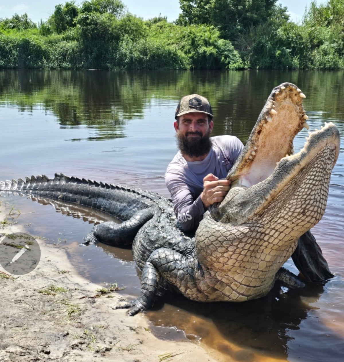 Another giant! This one was 11'11"